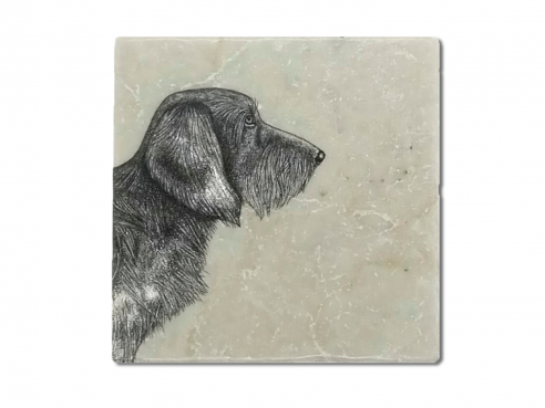 Illustrated tile - dachshund