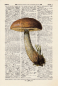 Preview: mushroom