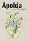 Preview: Apolda