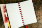 Preview: Upcycling Notebook