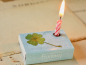 Preview: lucky-Light