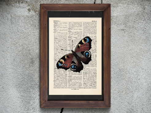 Butterfly - Druck auf antiquarischer Buchseite