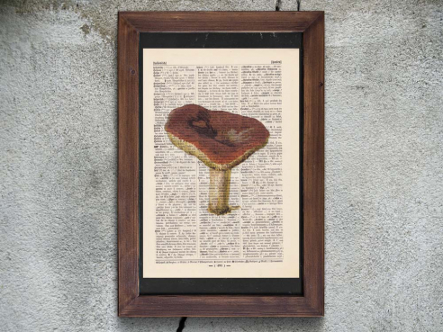 Mushroom - Print on antique book page