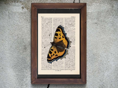 Butterfly No. 2 - Druck auf antiquarischer Buchseite