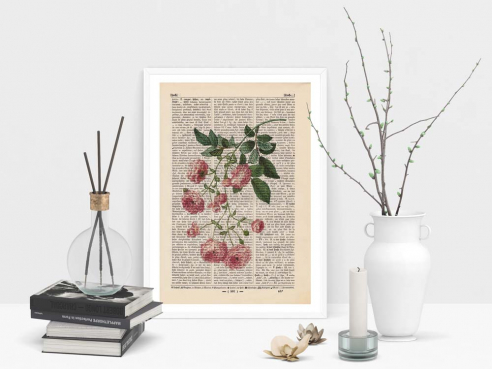 Rosa Multiflora - Print on antique book page