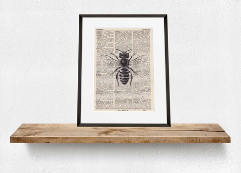 Bee - Print on antique book page