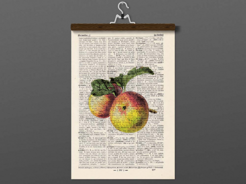 Apfel - Druck auf antiquarischer Buchseite