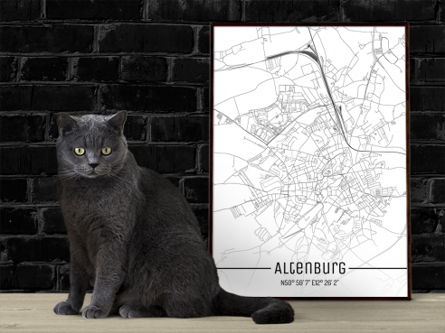 City Map of Altenburg - Just a Map