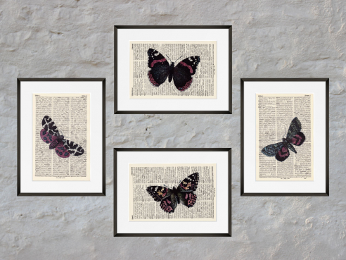 4er Set Schmetterlinge - Drucke auf antiquarische Buchseiten
