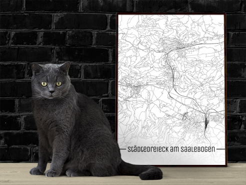 Städtedreieck am Saalebogen - Just a Map
