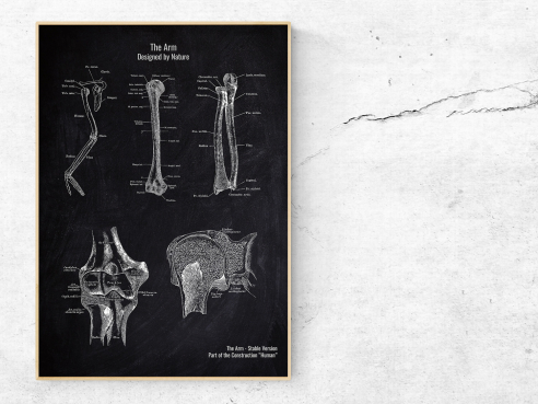 The Arm - Patent-Style - Anatomie Poster