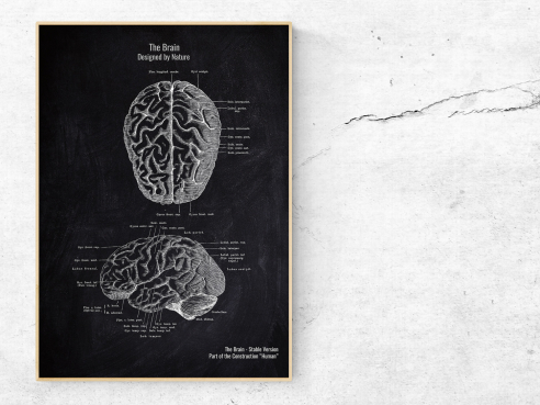 The Brain No. 2 - Patent-Style - Anatomie Poster