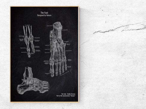 The Foot - Patent-Style - Anatomie Poster