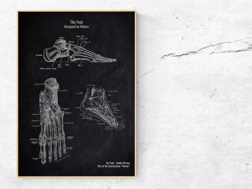The Foot No. 2 - Patent-Style - Anatomie Poster