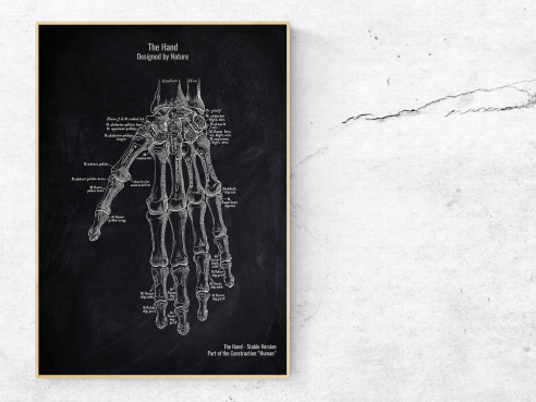The Hand - Patent-Style - Anatomie Poster