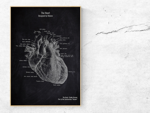 The Heart - Patent-Style - Anatomie Poster