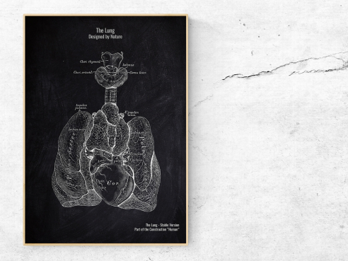 The Lung - Patent-Style - Anatomie Poster