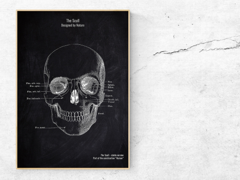 The Scull No. 4 - Patent-Style - Anatomie Poster