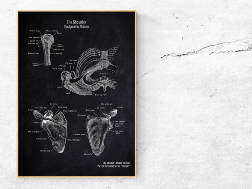 The Shoulder - Patent-Style - Anatomie Poster