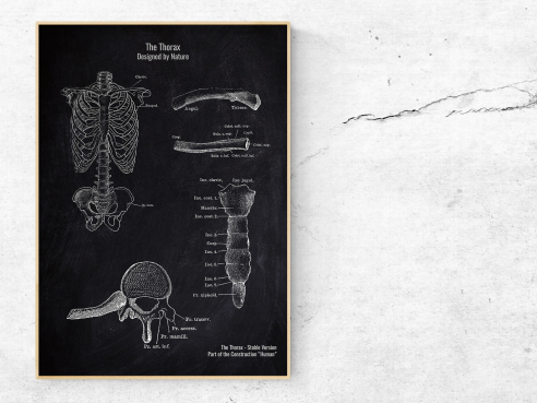 The Thorax No. 3 - Patent-Style - Anatomie Poster - Kopie