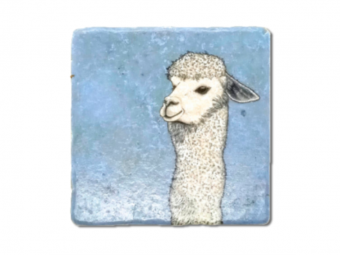 Illustrated tile - alpaca