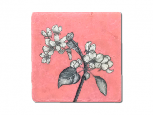 Illustrated tile - Apple blossom