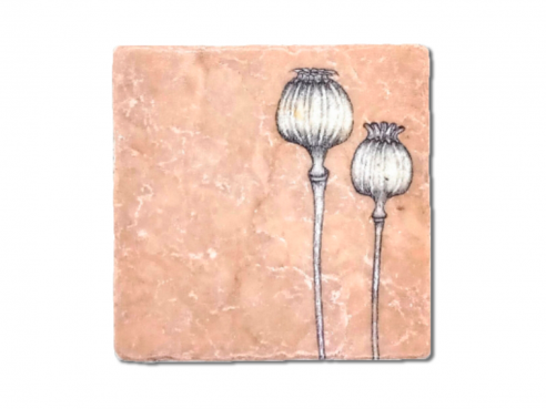 Illustrated tile - poppy seed capsules
