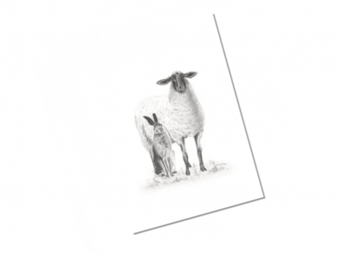Postcard - rabbit and sheep