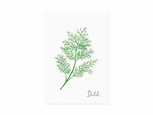 Postcard Dill