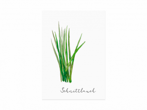 Postcard Chives