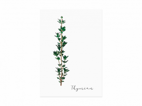 Postcard Thyme