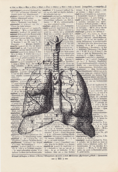 The Lung