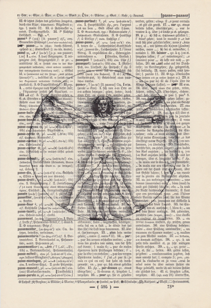 Vitruvian man