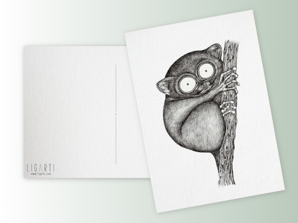 Postkarte Koboldmaki