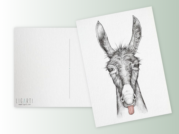 postcard donkey