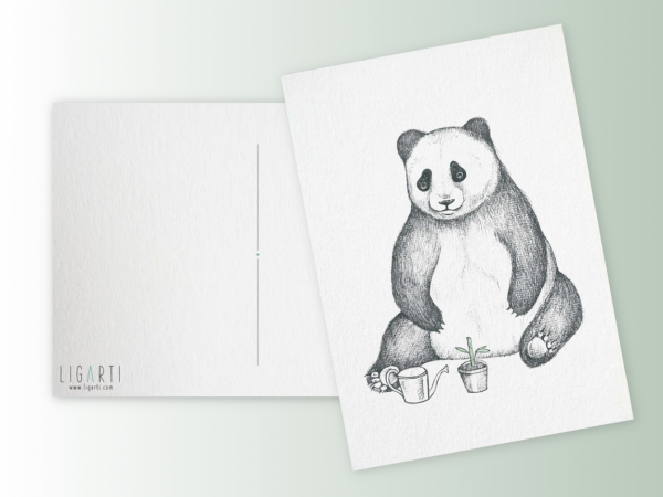 postcard Panda