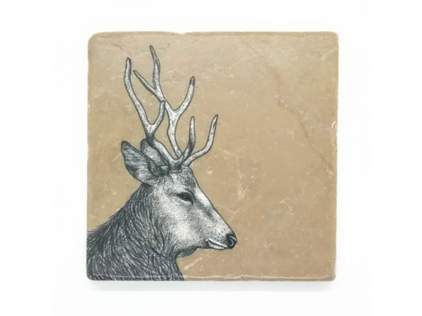 stag