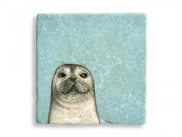 seal