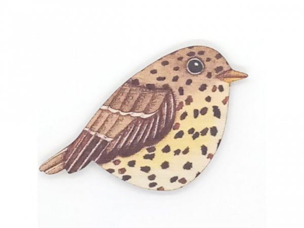 Song Thrush