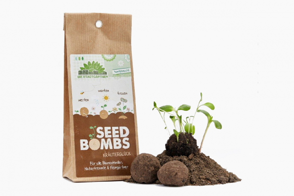 seedbombs herbs