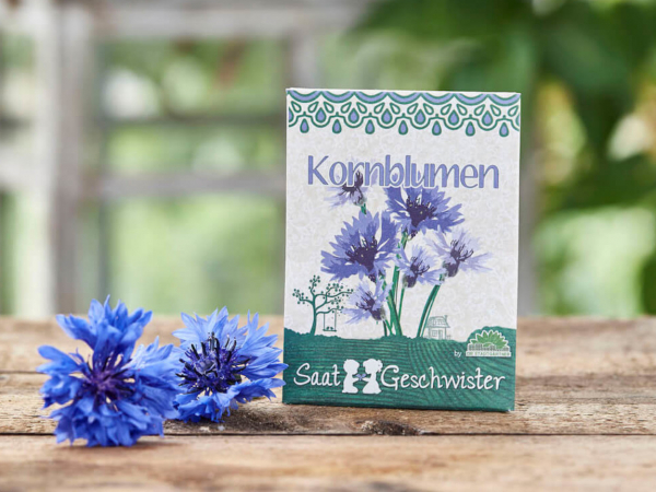 Saatgeschwister Kornblume