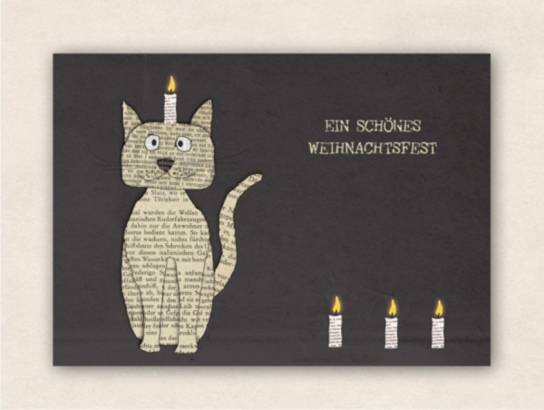 postcard cats festival